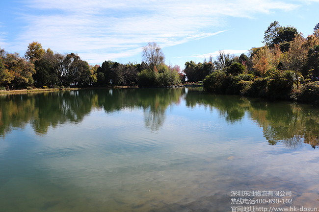深圳到香港物流,香港深圳貨運運輸,深圳香港進(jìn)出口,深港物流專線,中港物流,東勝物流集團-深圳市東勝物流有限公司