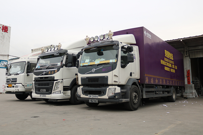 活物運輸謹記這5項，讓你的生意越做越火！--深圳市東勝物流；深圳到香港物流,香港深圳貨運運輸,深圳香港進出口,深港物流專線,中港物流,東勝物流集團