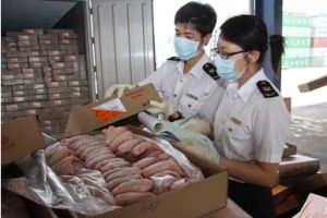 深圳凍肉進(jìn)口報(bào)關(guān)公司；深圳到香港物流-深圳東勝物流